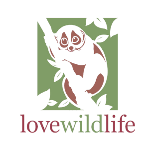 Love Wildlife